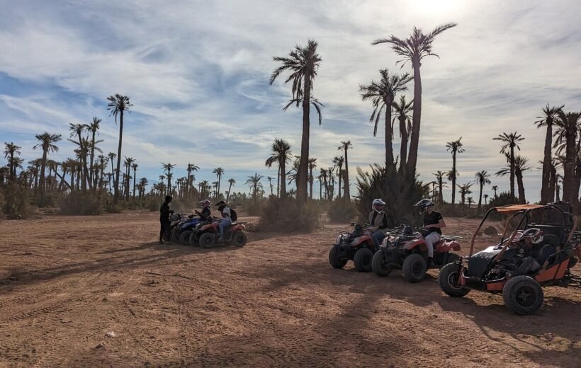 Evening Quad Bike at Palmeraie Area with Tea Tasting from Marrakech